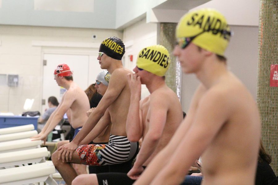 Swim+Focuses+on+Winning+Season