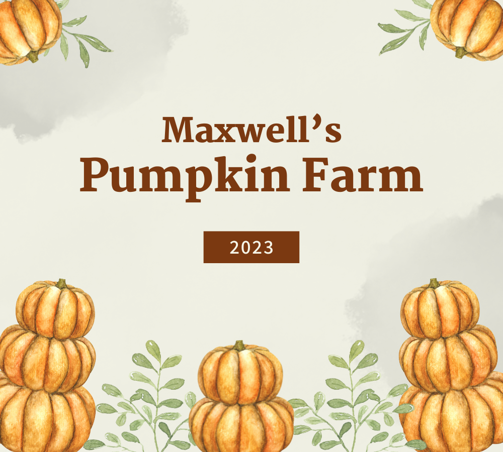 Maxwells Pumpkin Farm Review
