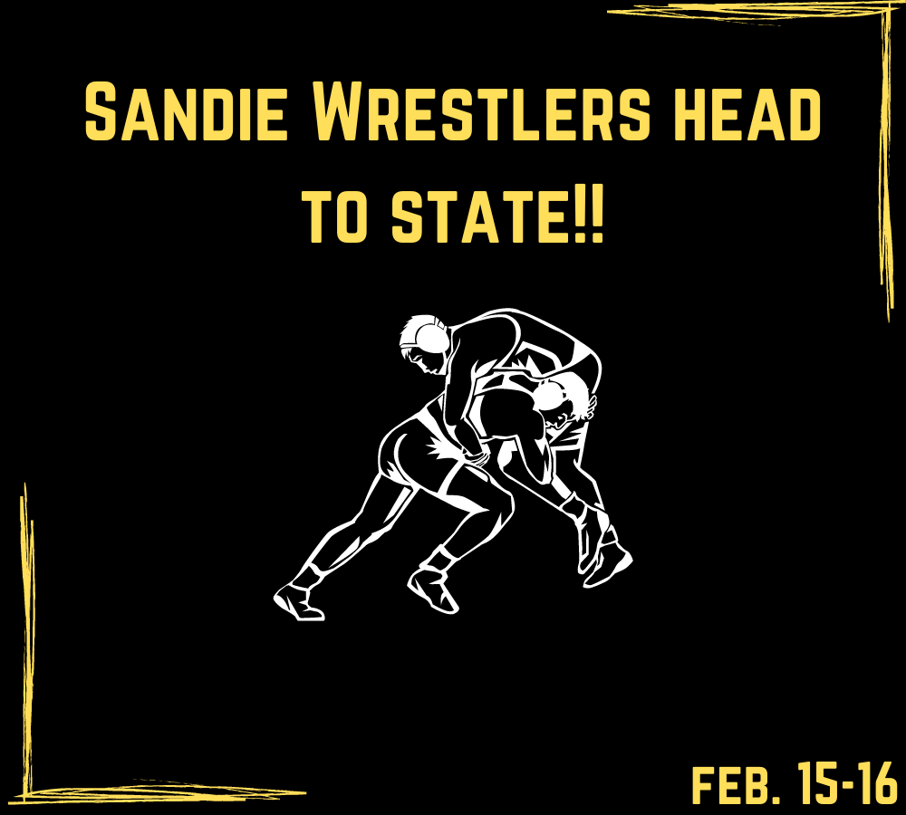 Wrestling Heads to State