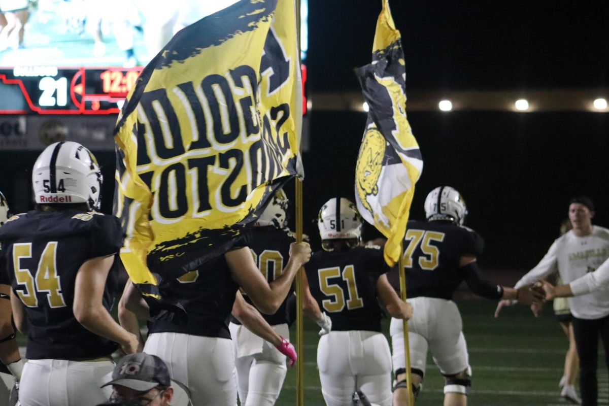 Players run onto the field carrying their new flags