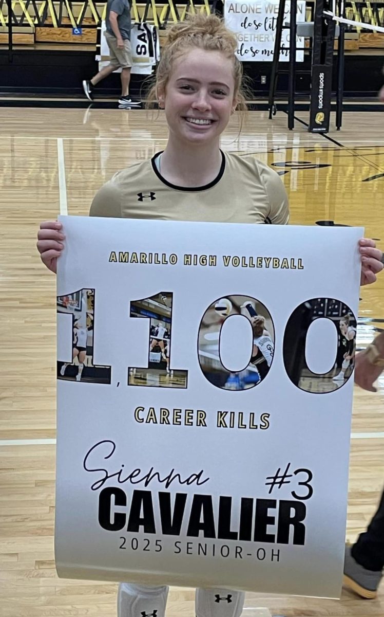 Sienna receives her 1100 career kills poster