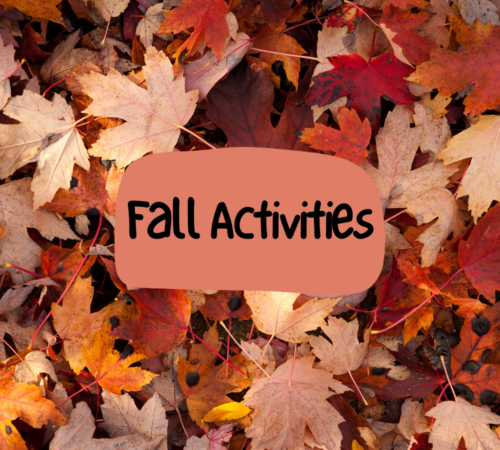 Fall Fun